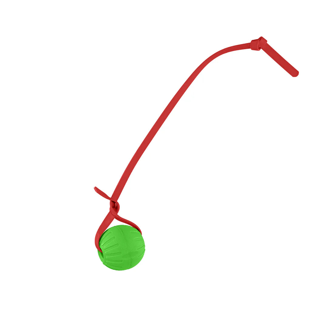 Pelota entrenamiento biothano 9CM