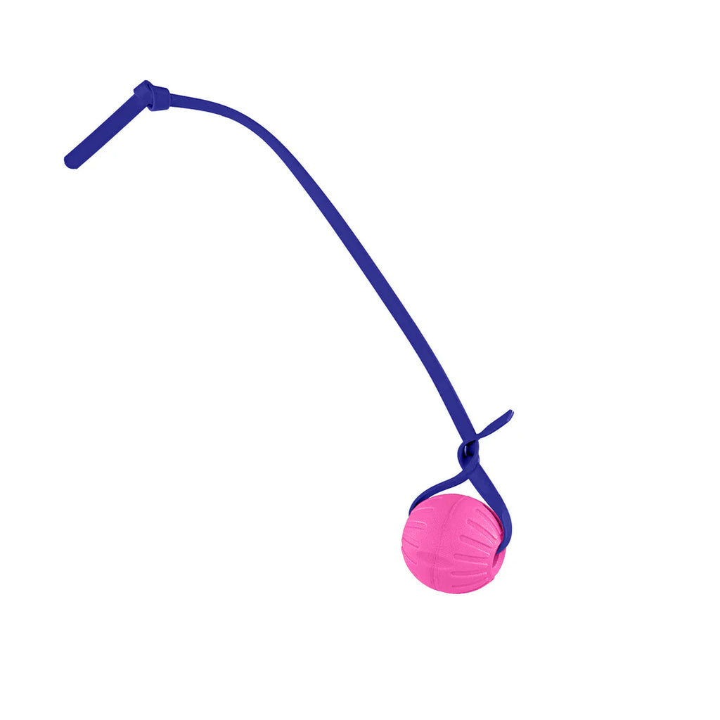 Pelota entrenamiento biothano 9CM