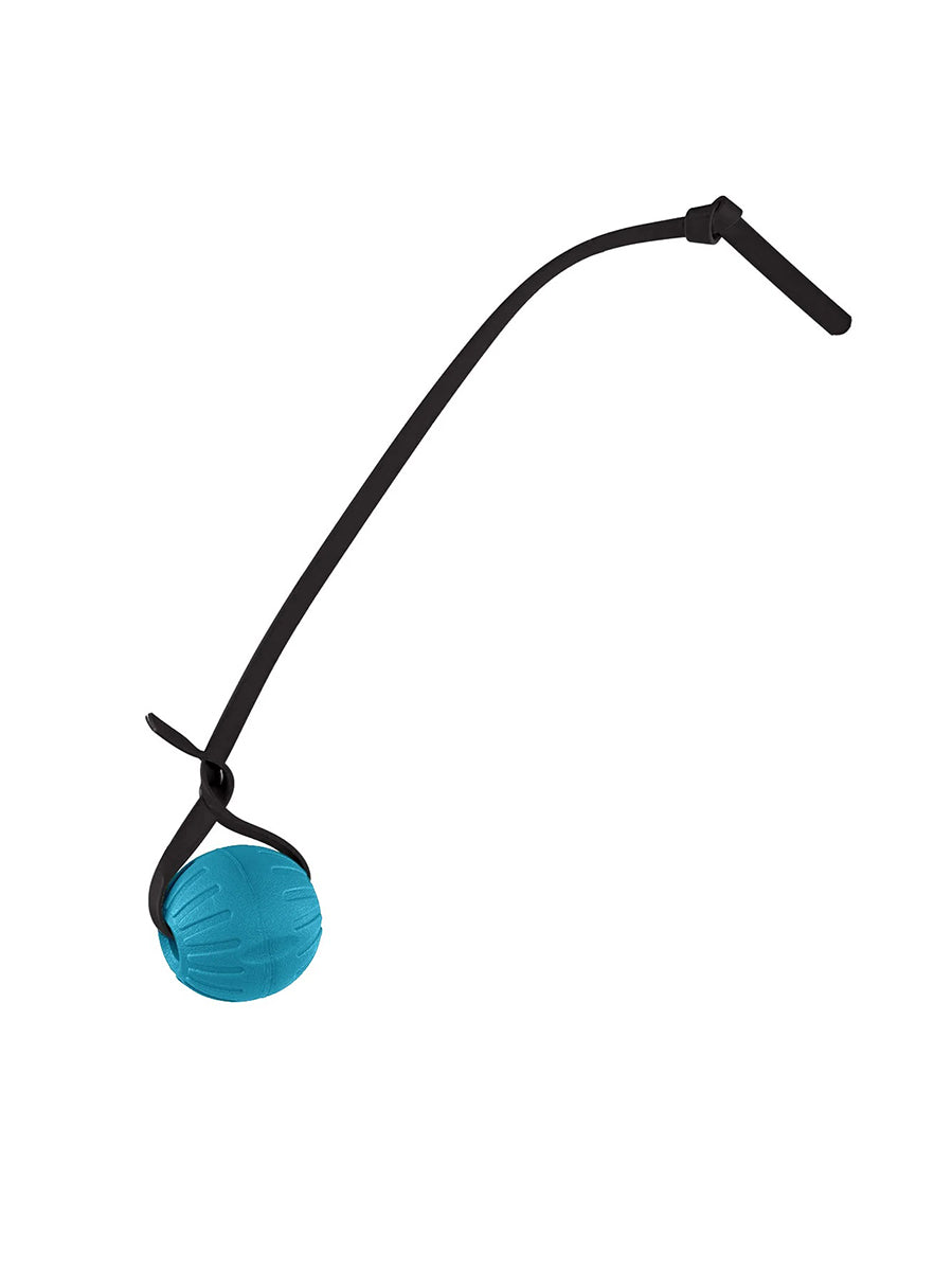 Pelota entrenamiento biothano