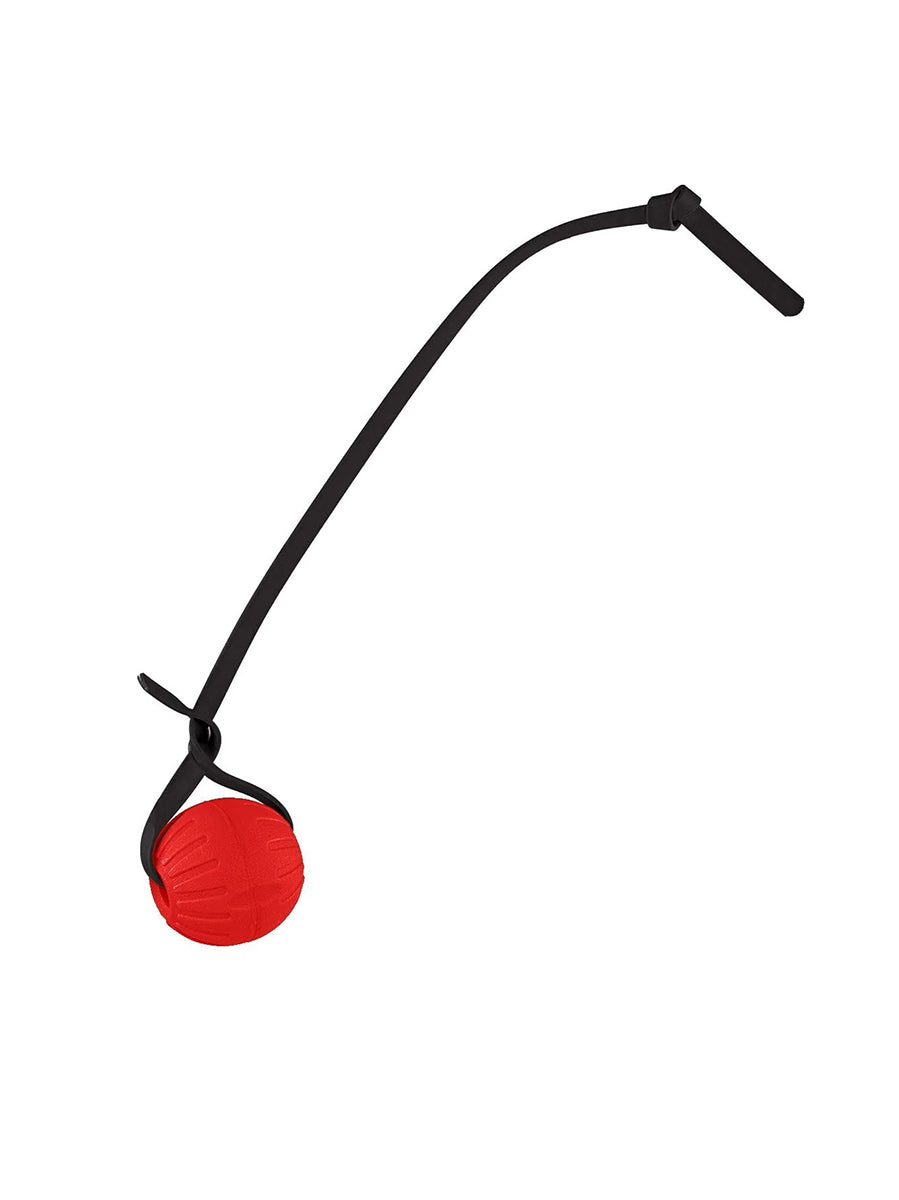 Pelota entrenamiento biothano