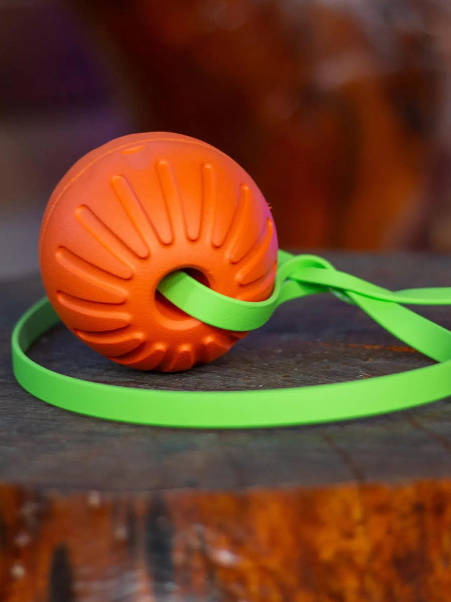 Pelota entrenamiento biothano