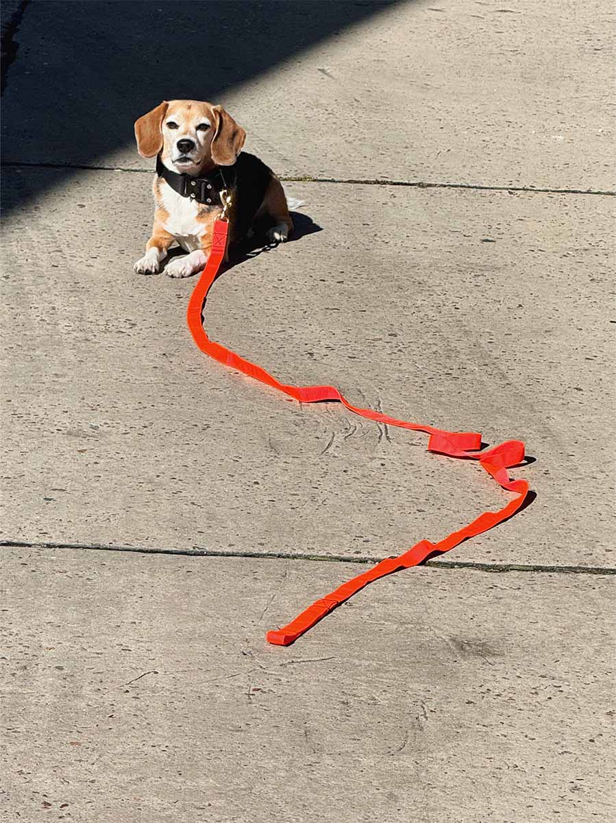 Linea de entrenamiento 3 metros