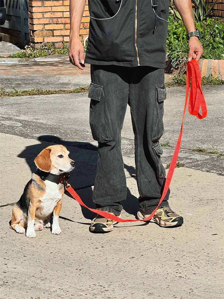 Linea de entrenamiento 3 metros