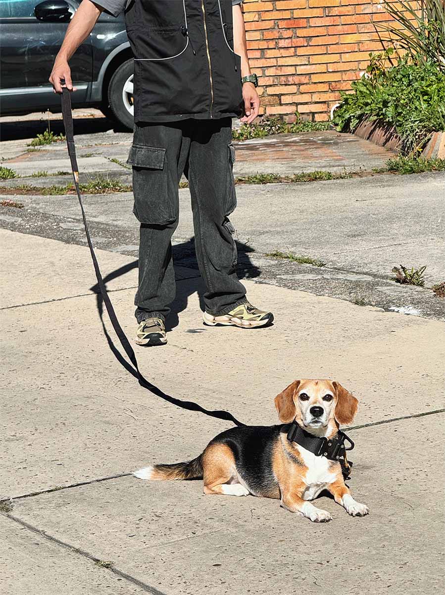 Linea de entrenamiento 3 metros