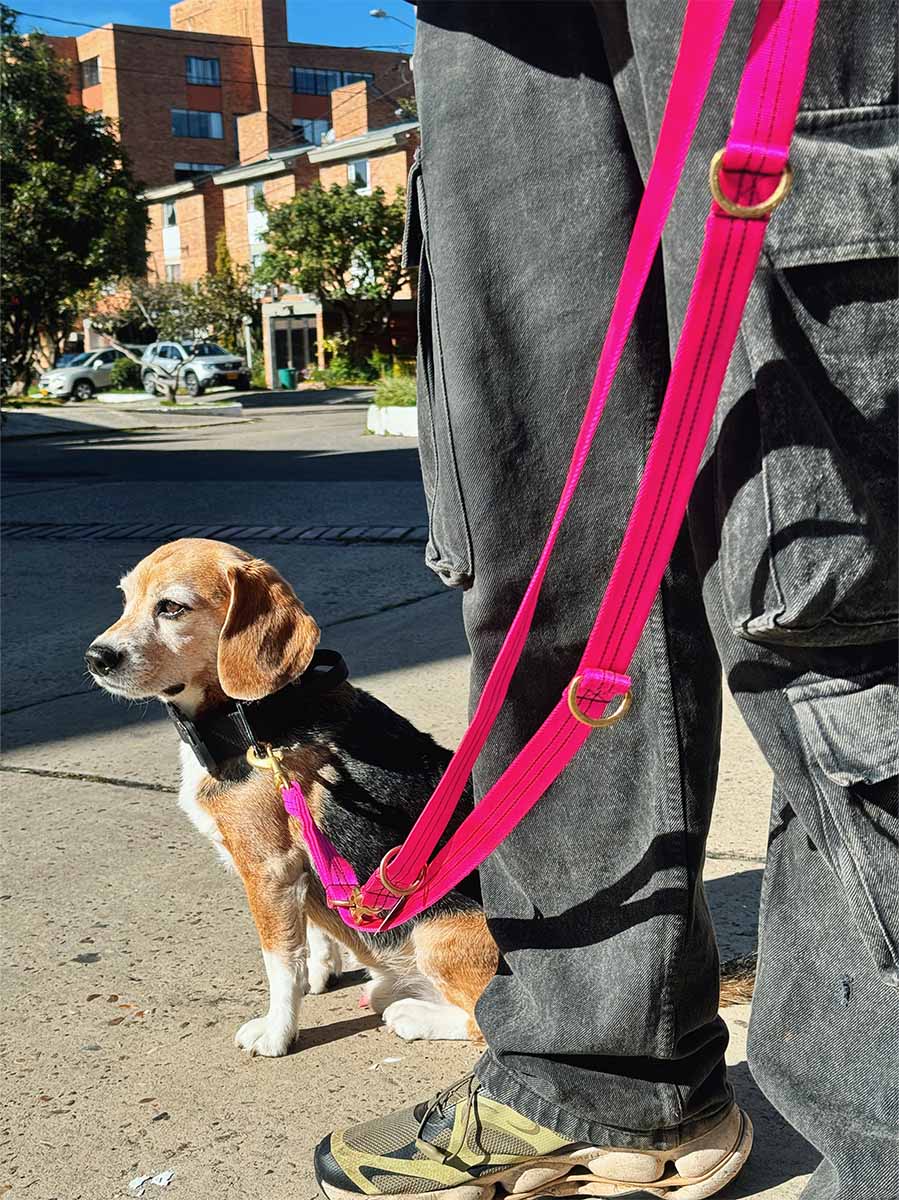 Correa 2 metros manos libres