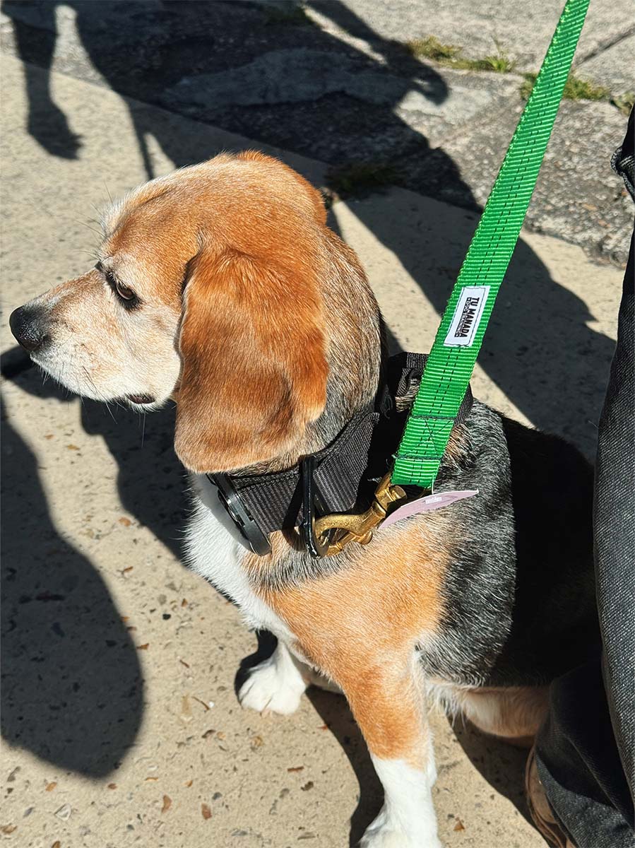 Correa 2 metros manos libres